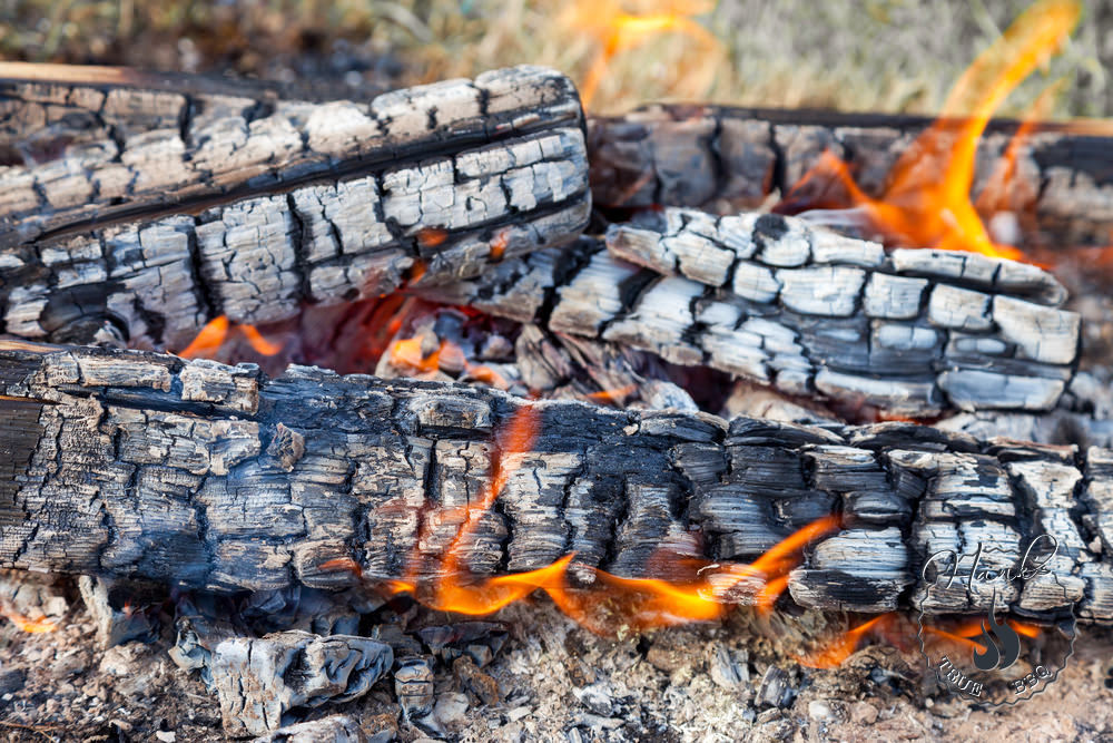 Smoking and wood Hanks True BBQ™