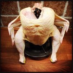 Mounted chicken